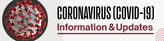 冠状病毒（Covid-19）信息和更新